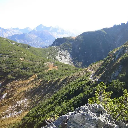 Ginschel * Altenmarkt im Pongau