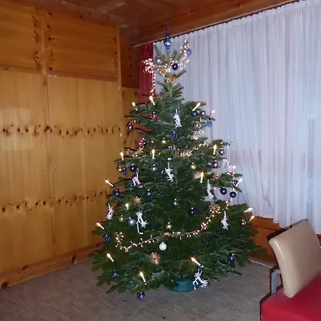 Ginschel Альтенмаркт (Понгау)